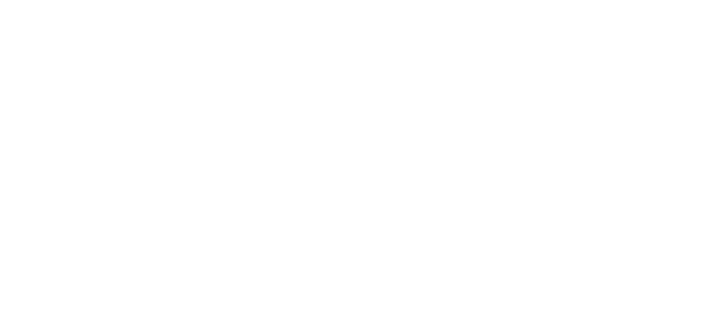 CT State Capital white Logo
